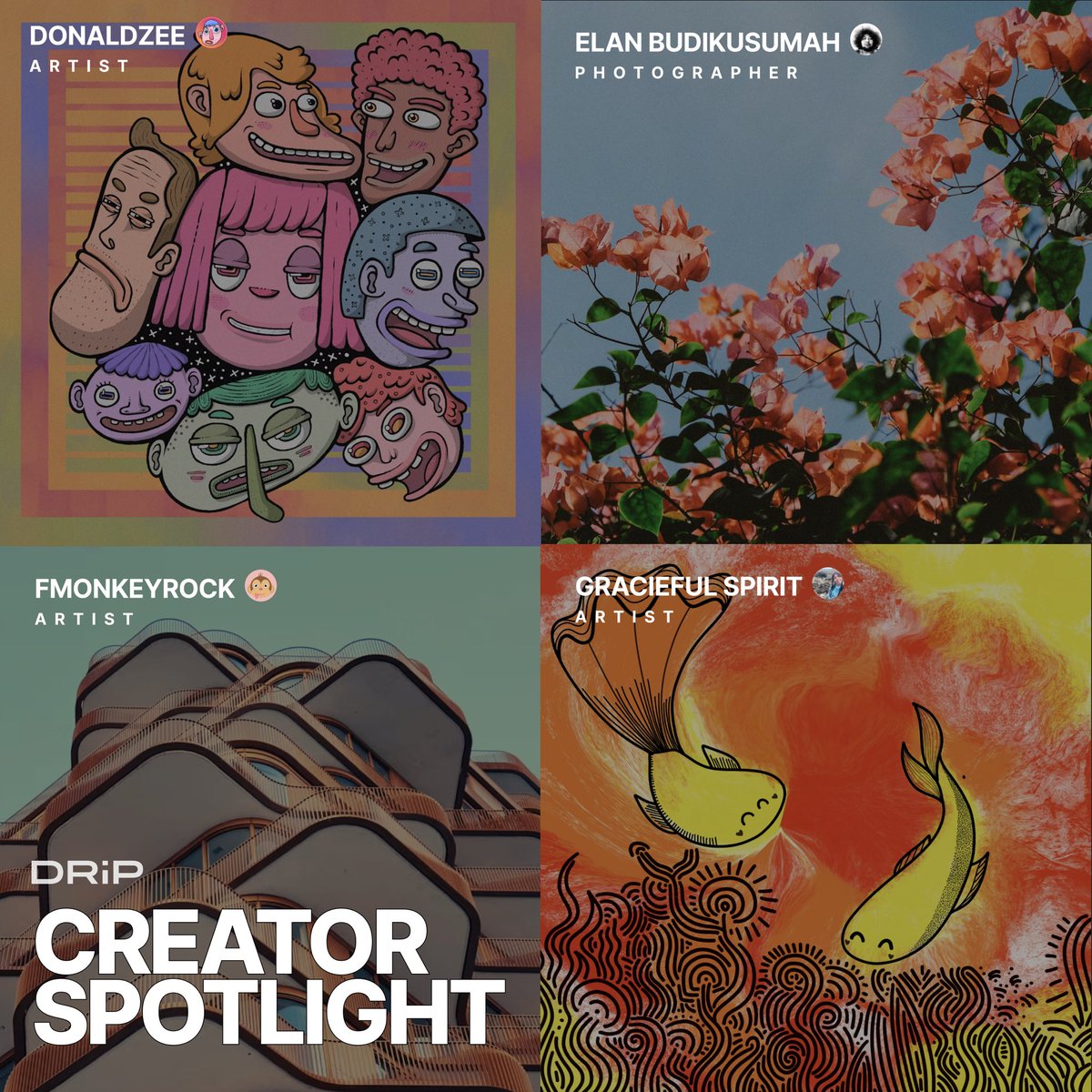 On DRiP’s Spotlight💡

Discover &amp; connect with new creators.