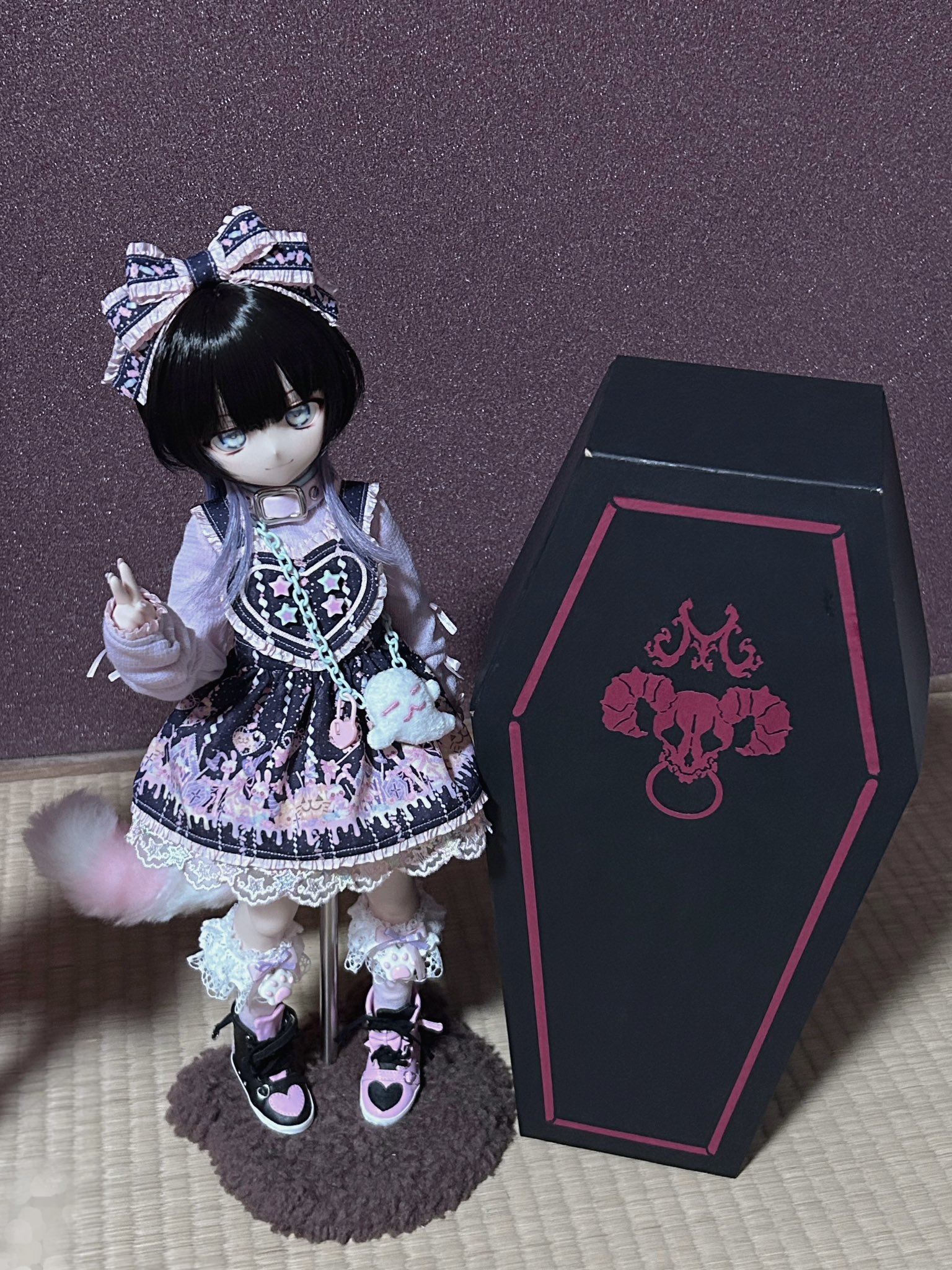 chatora🐾 (@36kd) / X