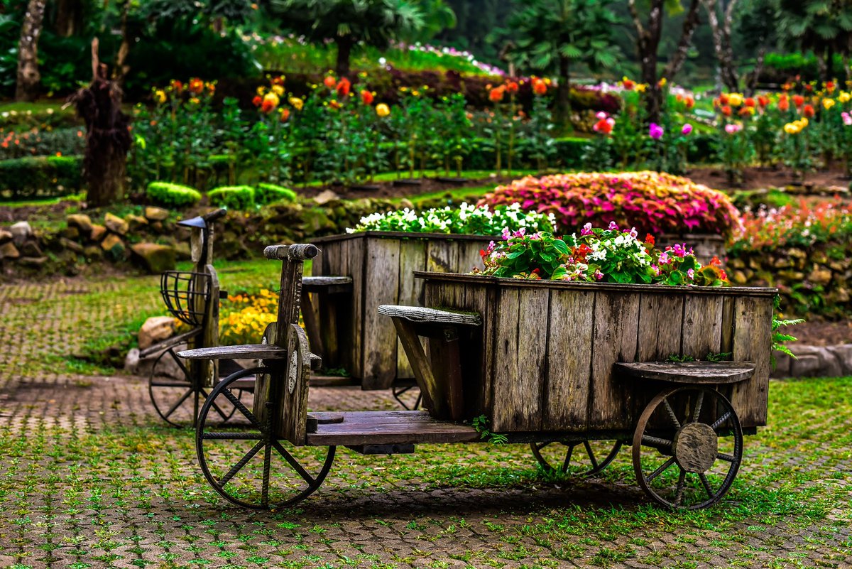 yardenercom's tweet image. Okay… how cool is this idea? 🚲

🌸 Turning an old cart into a rolling garden bed - this is the kind of creativity that makes you stop and smile.

Would you try it in your garden?

#GardenIdeas #DIYPlanter