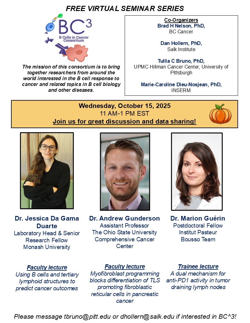 Tullia Bruno, PhD tweet media