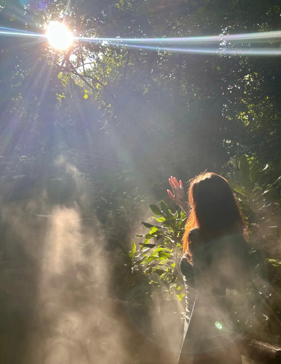 grace36_grace's tweet photo. It was as if the sun wanted to touch me, I just reached out.🫳 https://t.co/830E9p40et