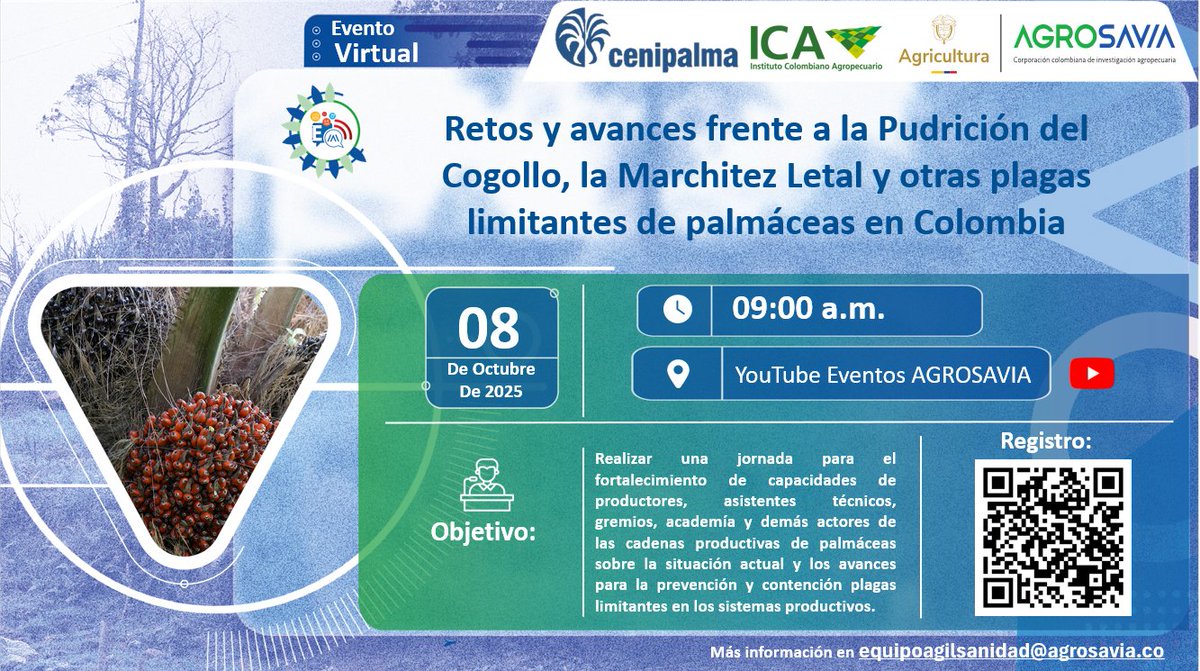 🌴🔬 Retos y avances frente a la Pudrición del Cogollo, la Marchitez Letal y otras plagas limitantes de palmáceas en Colombia.

Te invitamos a conectarte a través del YouTube Eventos AGROSAVIA el día 8 de octubre a las 9:00 a.m. para conocer los últimos hallazgos, estrategias de