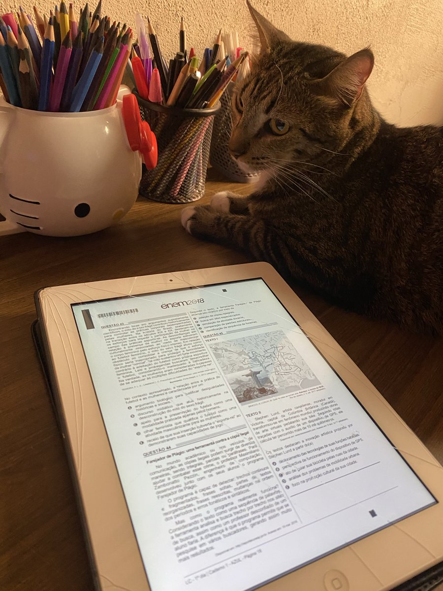 lulstudy's tweet image. vou levar o caio pro enem dentro da bolsa pra ele me dar as respostas