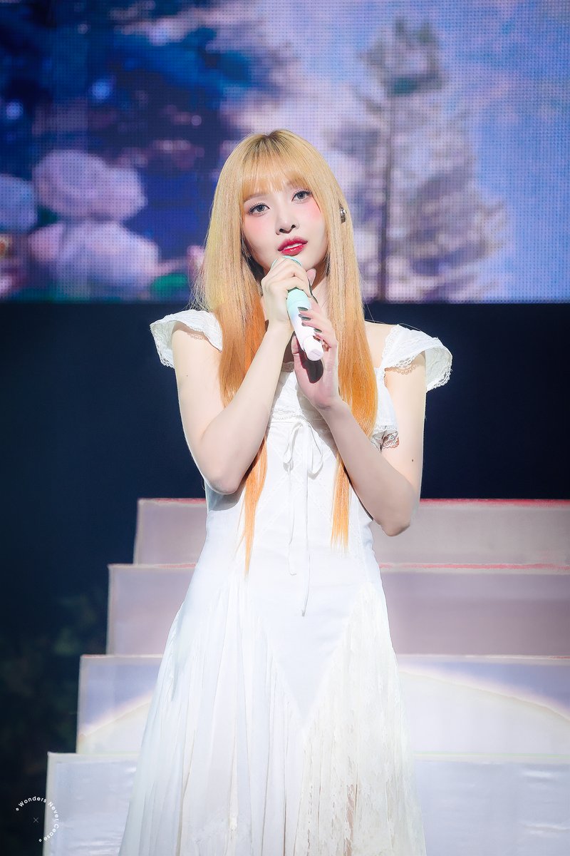 WONDERS NEVER CEASE tweet media