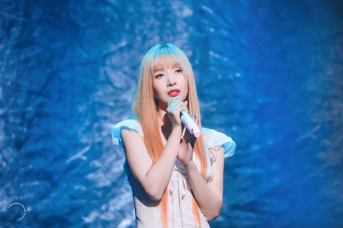 WONDERS NEVER CEASE tweet media