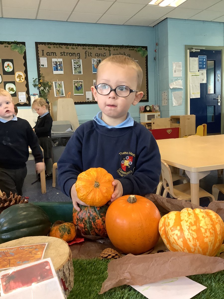 We have enjoyed looking at different pumpkins today.