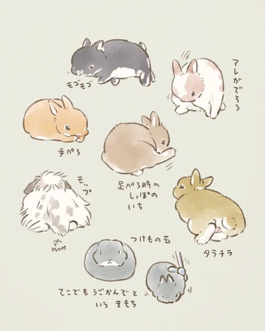 🐰好き仕草ランキング上位にはあんまり入ってこないけどちょっとすきなウサチャンの仕草 