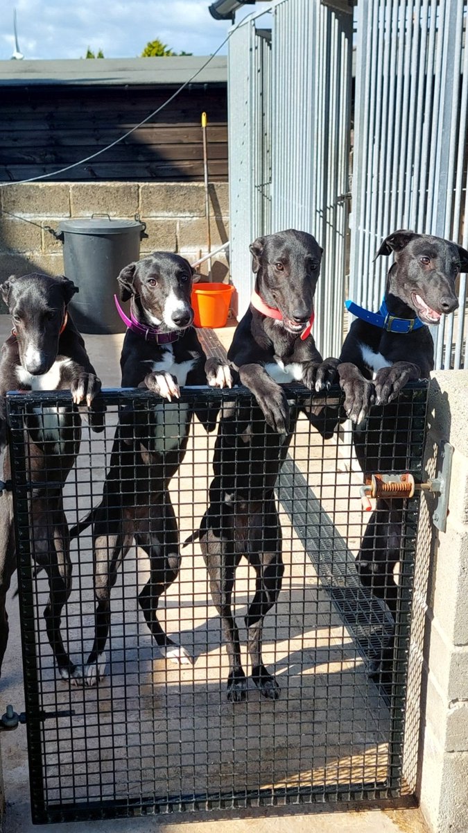 Getting bigger by the week.