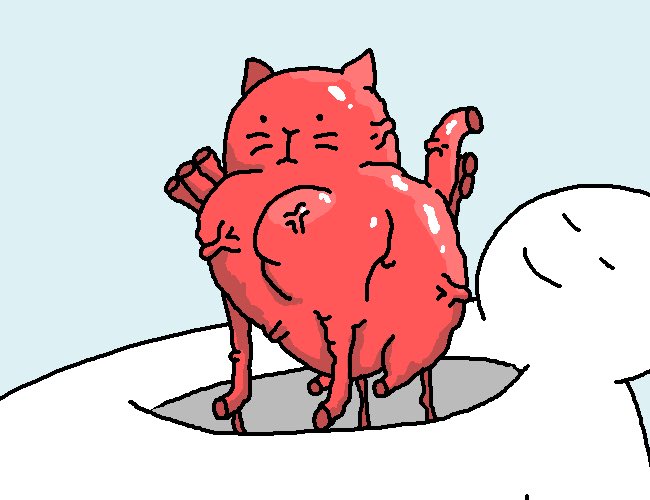 Heart cat