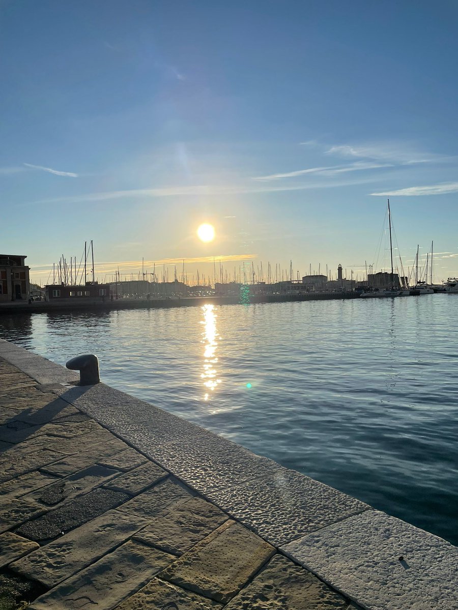 cecchi_giovanna's tweet image. Trieste
06/10/25
📸my