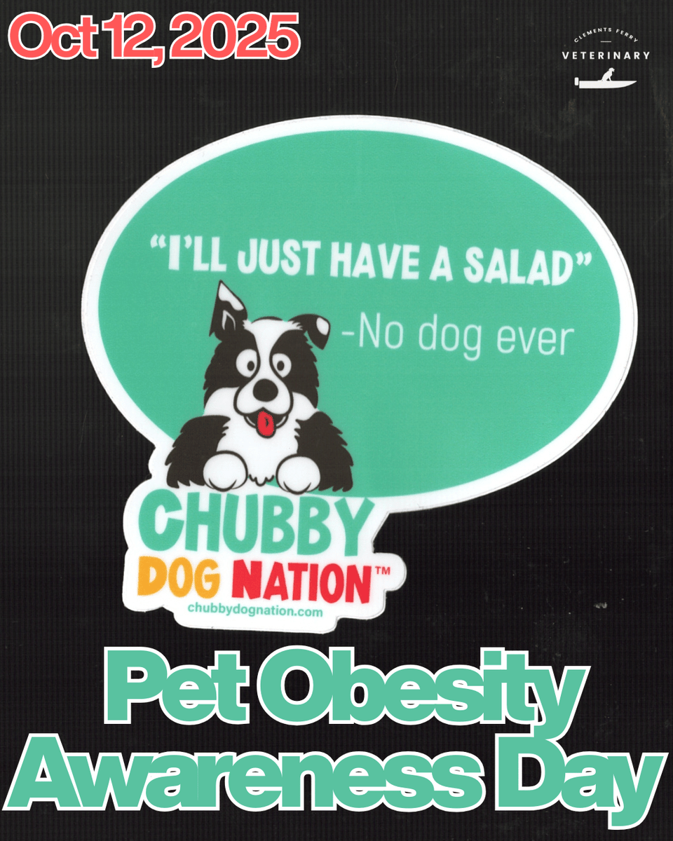 ferryveterinary's tweet photo. We are teaming up with our awesome relief technician Jenny, author of Chubby Dog Nation, to bring awareness to pet obesity. We will be giving out resources to help you and your four-legged family reach your weight loss goals! https://t.co/U7XWpzC07t