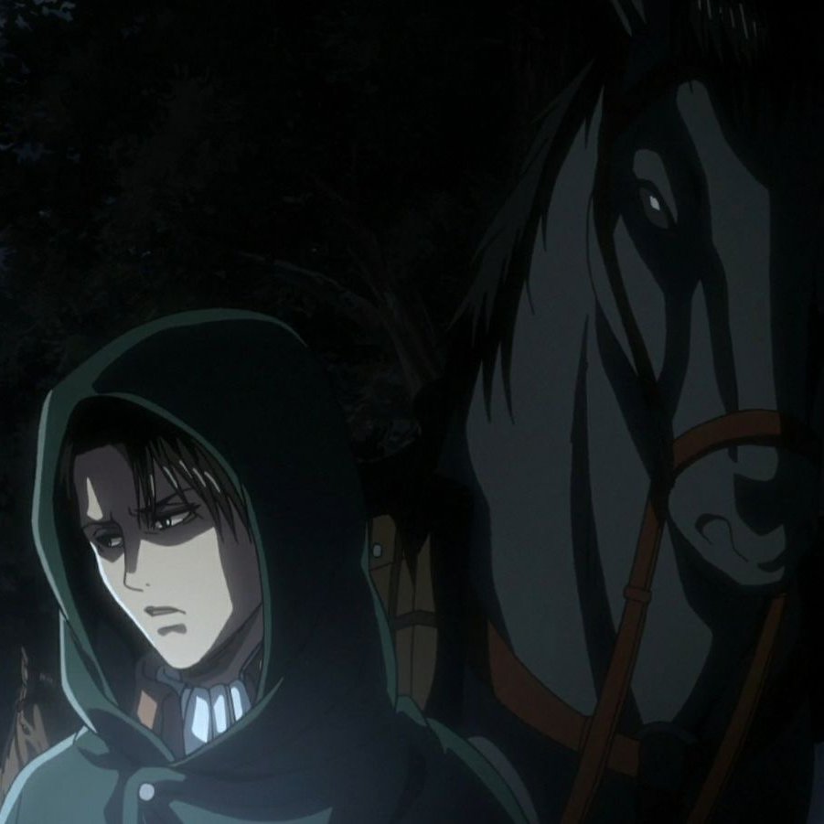 ม้าของเขาเป็นสิ่งมีชีวิตที่สวยงามมาก

เมื่อมันขึ้นชื่อว่าเป็นของเขา รีไวล์ย่อมไม่บกพร่องในการดูแลมัน วันที่เว้นจากภาระงานและการฝึกซ้อมก็ไม่ลังเลที่จะมาหา

อายุขัยมันเกือบสามสิบปี แทบจะครึ่งชีวิตของมนุษย์และอาจจะได้อยู่ในหน่วยสำรวจนานกว่าทหารคนไหนด้วยซ้ำ