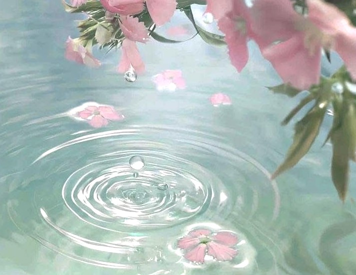 ♡ tweet media