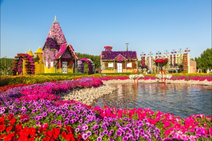DynastyExp's tweet photo. Did You Know?
At Dubai Miracle Garden, the Emirates A380 is recreated as a massive floral installation. It’s covered with 500,000+ fresh flowers and plants, and it holds the Guinness World Record as the largest floral installation in the world.
#DubaiMiracleGarden https://t.co/ZrYxReKOzA