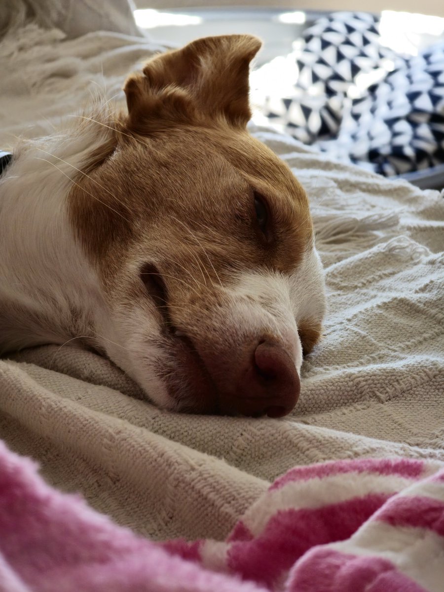 byruph's tweet photo. Goofy Cala 🐌
(La amo) https://t.co/oTSqlcLmwL