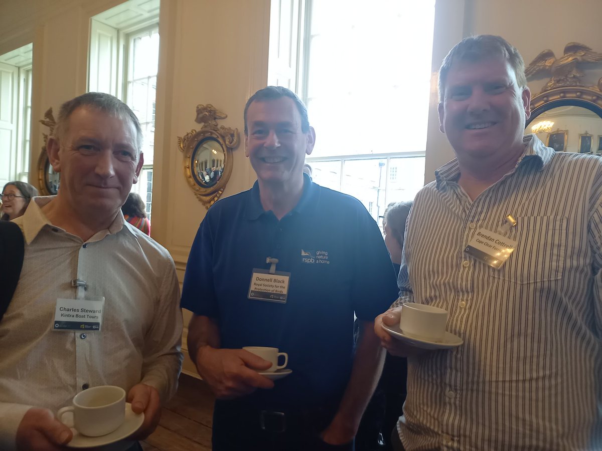 Great Lighthouses of Ireland tweet media