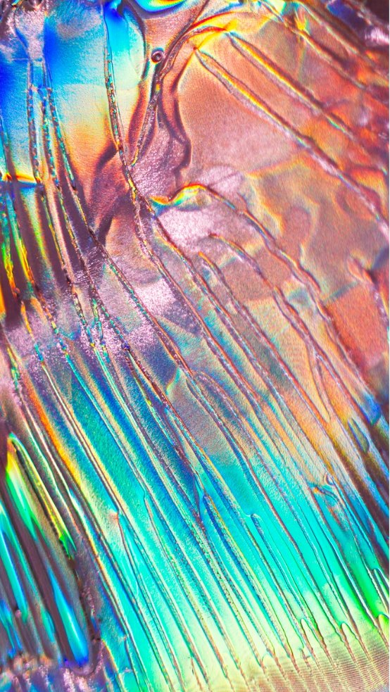 Cre8sy's tweet photo. @CozomoMedici @rollbit #ArtTank

Prismwing 1/1

Macro photography
https://t.co/YLRfmsDgpY https://t.co/2dPCWYAvtu