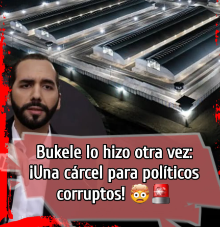 Se espera que pronto se replique en Perú.
Ya que existen muchos políticos y otros que se amamantan de este como si fueran dueños del cargo.