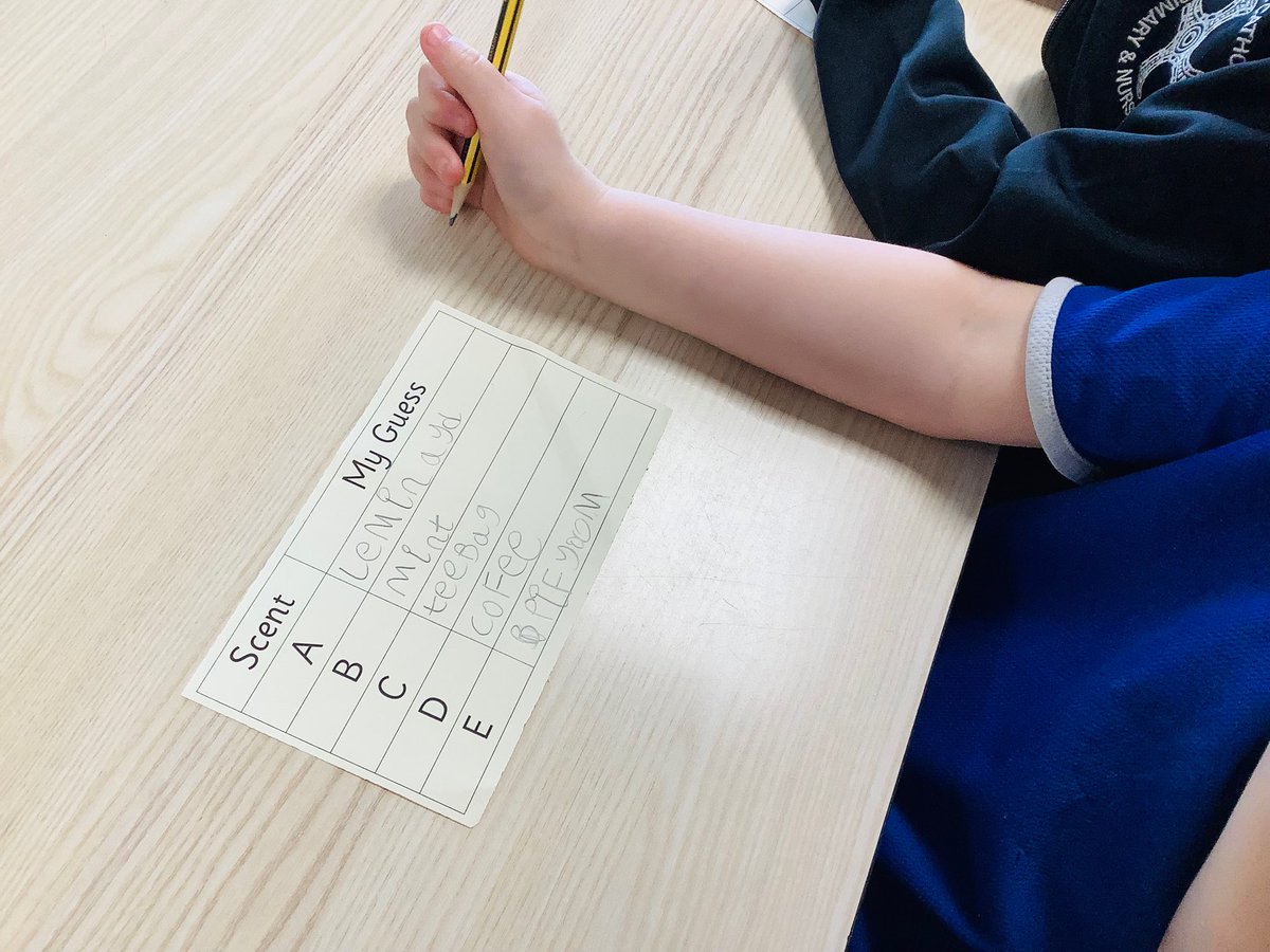 StCuthbertsPri's tweet photo. During our science lesson today, Year 1 conducted an experiment on their sense of smell. π We tested our noses to see if we recognised familiar scents. β
πOur guesses were amazing! #StCuthbertsScience https://t.co/su7Dbk7Ir9