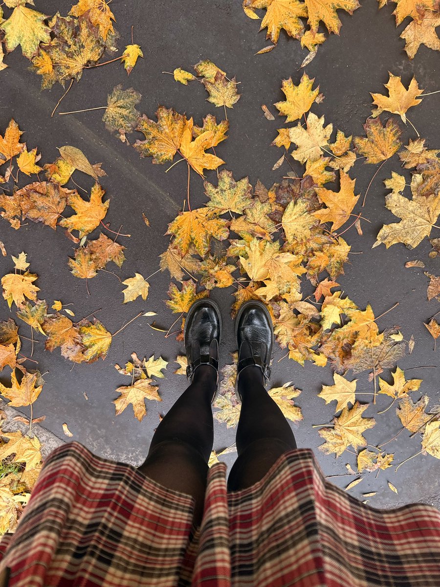 Жесть, как же я люблю золотую осень