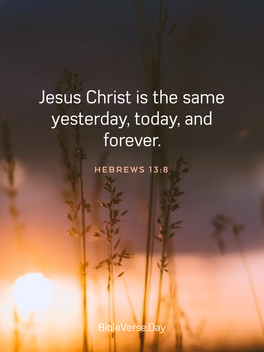 Mrs. Sassy Sasquatch (@mrssassysasqtch) on Twitter photo 