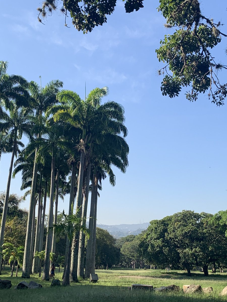 Un poco de sol ☀️
