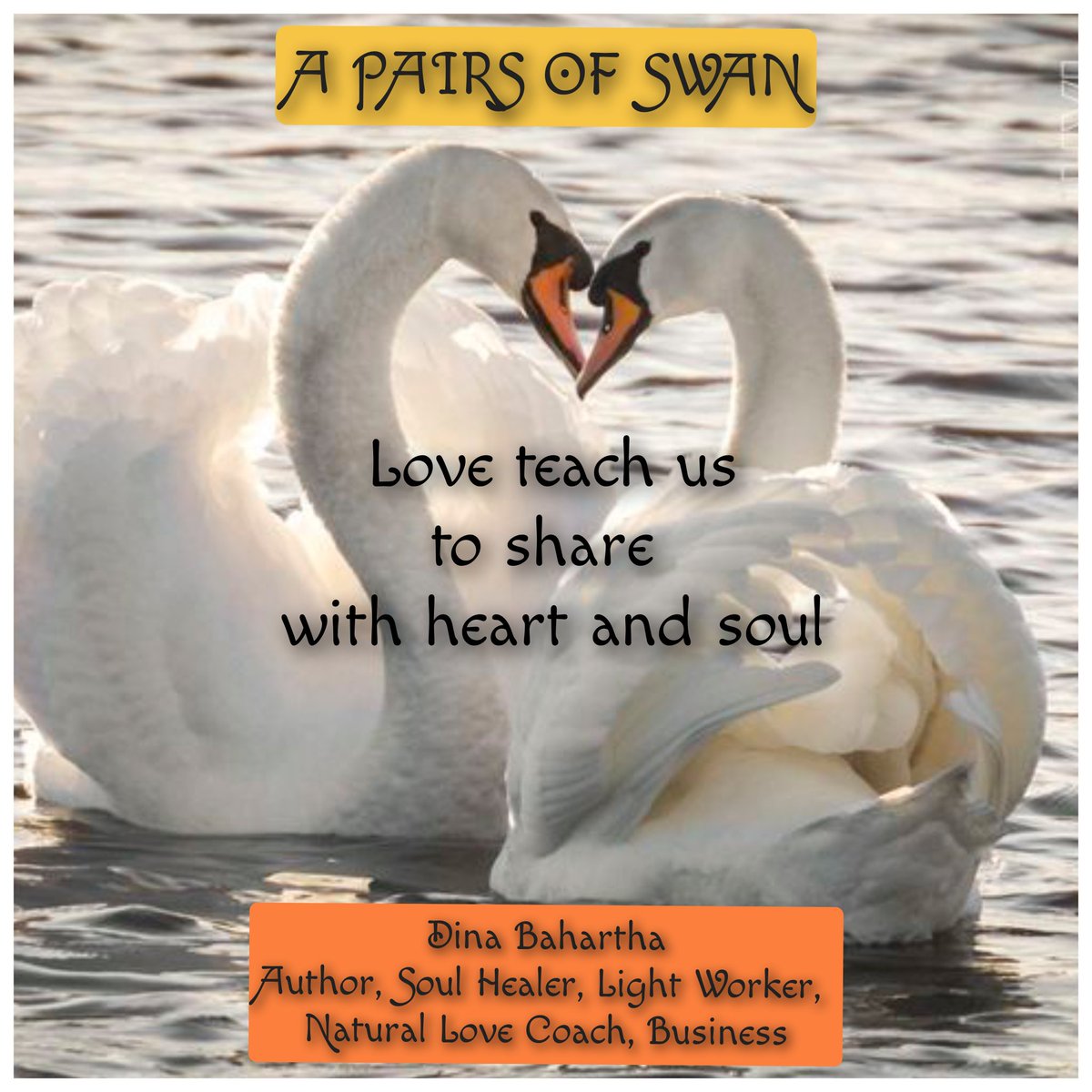 DBahartha's tweet image. 🦢A Pairs Of Swans Dancing Together To The Rhythm Of Music🎼That Brings Calmness To The  Soul❤
🦢Love And Care Without Limit
❤You Are Amazing Soul❤

✍️Author : Dina Bahartha

#authoroftwitter #authorofinstagram #poetry #lightworker #twinflamejourney #soulhealer #soulmate