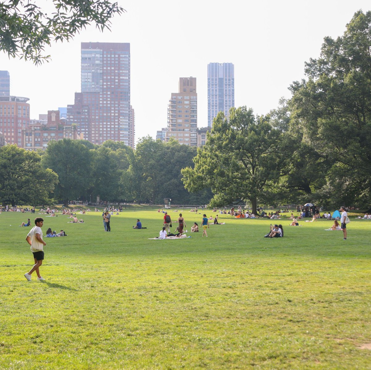 CentralPark_NYC's tweet photo. What was your favorite summer moment in Central Park? 🍂 🌻 #CentralPark #EndOfSummerVibes #HelloAutumn #CentralParkMoments 📸 Emma Goldschmidt https://t.co/JVwvVqi2PQ