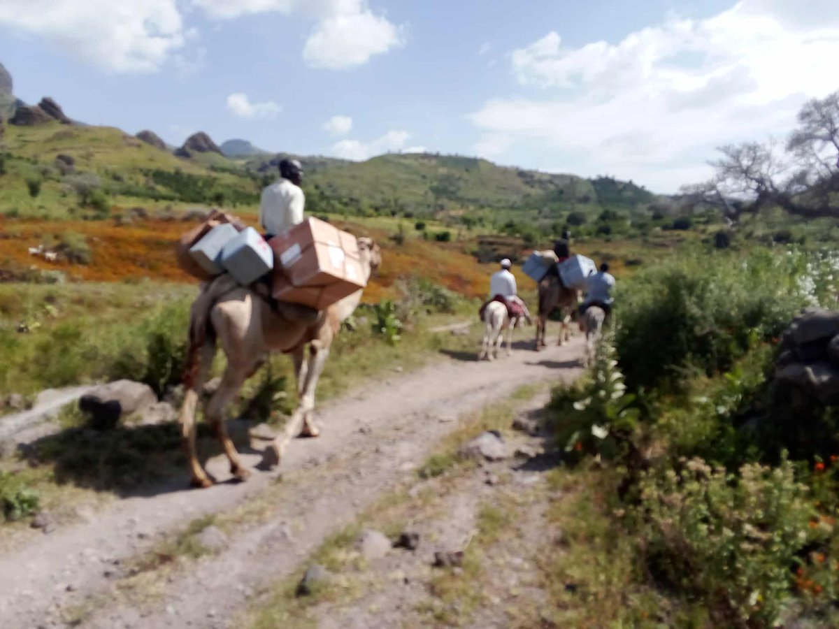 <a href="/WHO/">World Health Organization (WHO)</a>-trained vaccinators use camels &amp; donkeys to reach inaccessible areas in Jabal Mara Mountains, #Darfur, to ensure no one misses out on #cholera vaccines during the recent vaccination campaign.

1.6 M people in the Darfurs were protected from cholera through these campaigns.