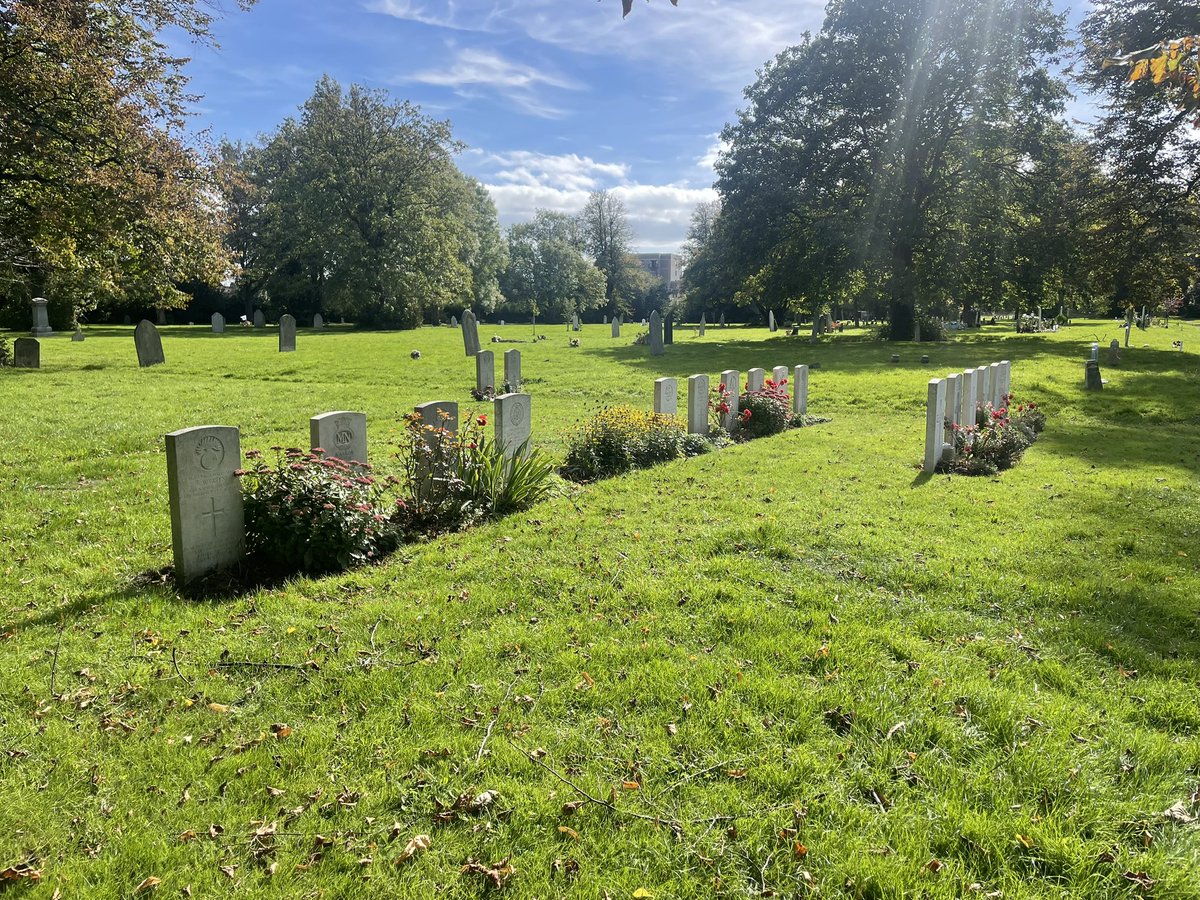 Allan Noble tweet media