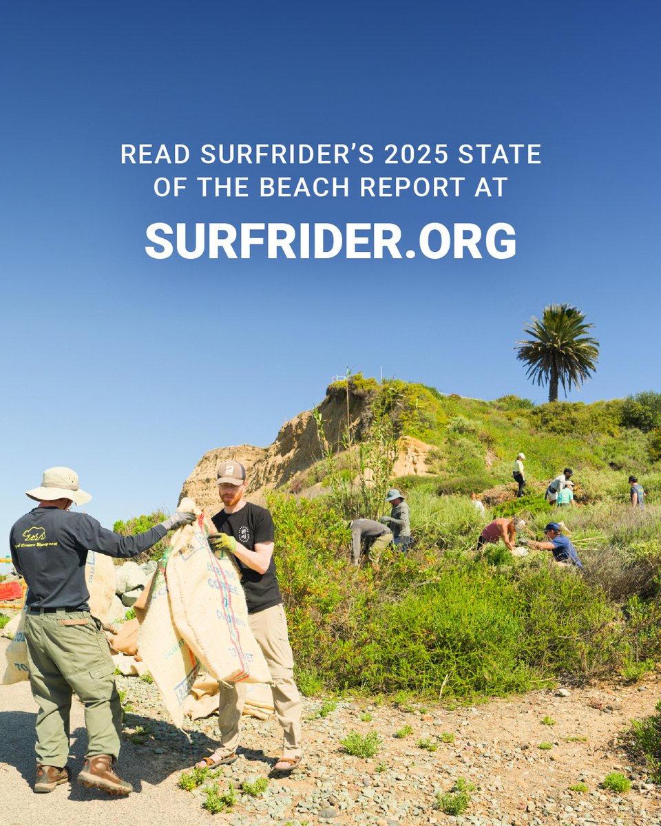 Surfrider Foundation tweet media