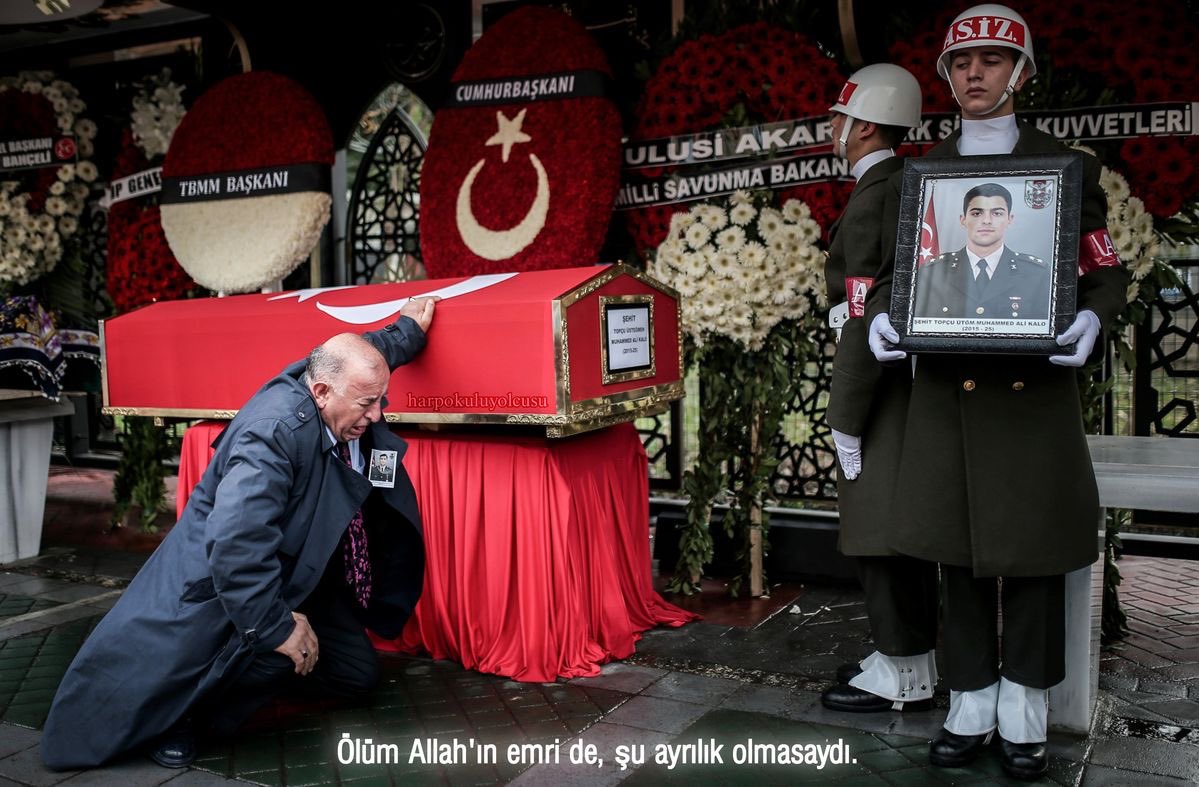 Bürküt. tweet media