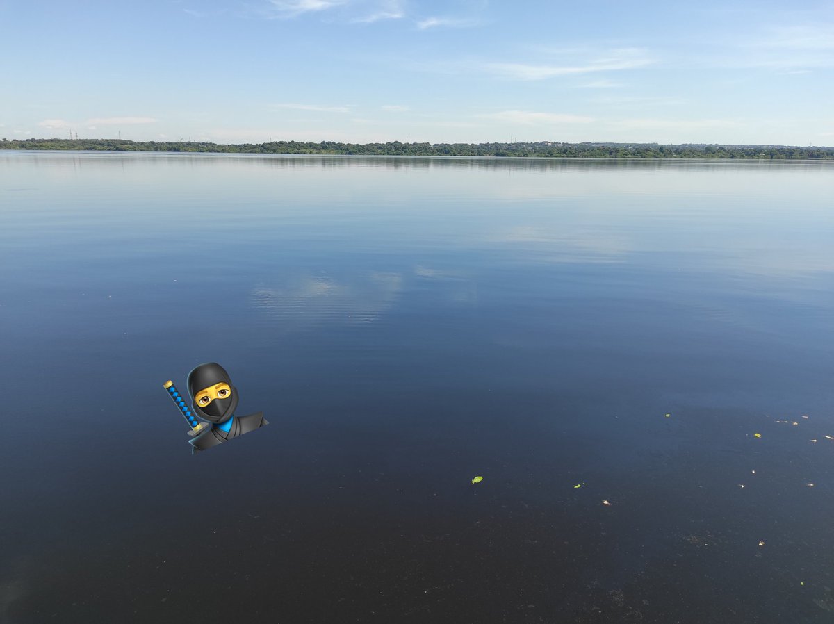 Gm frens! You'll always be happy wherever you like. Working on the water is an indescribable feeling, and it's also a mood booster when you're on Web3. Have a nice day, everyone!🥷🏽☀️🌎🏠🪙🍀🧠🦾👨🏽‍💻💎🛡️⚔️💯