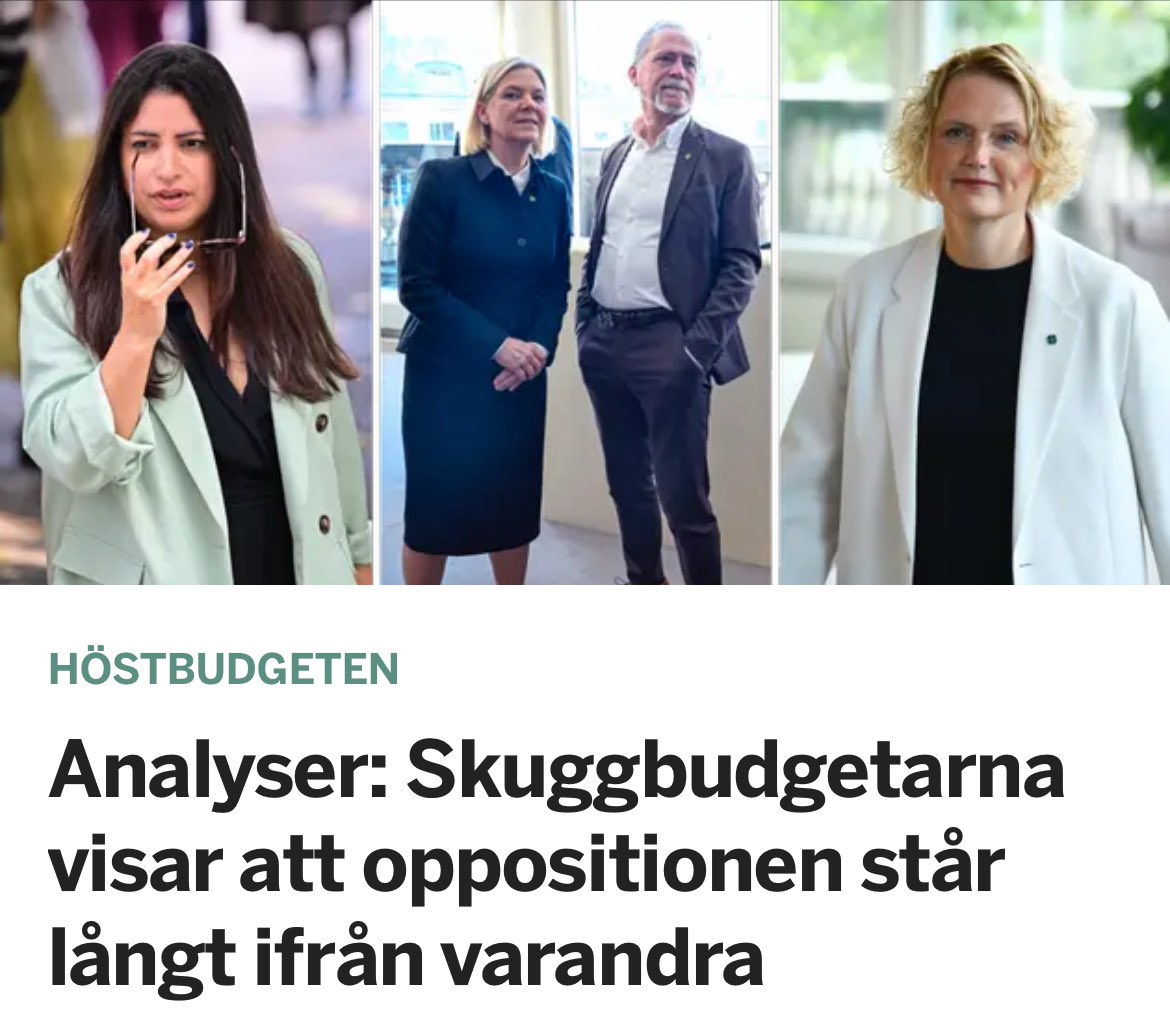 Oppositionen kan uppenbarligen inte enas om någonting! Hur ser Magdalena Anderssons regeringsalternativ ut egentligen?