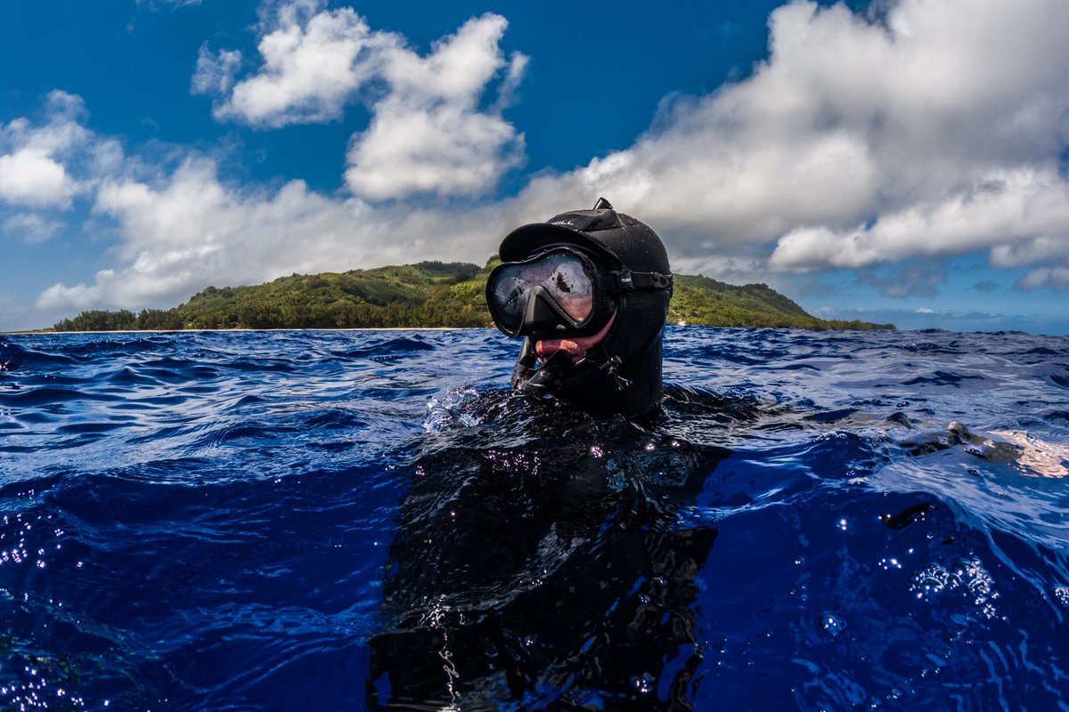 Cameron Ross Hall tweet media