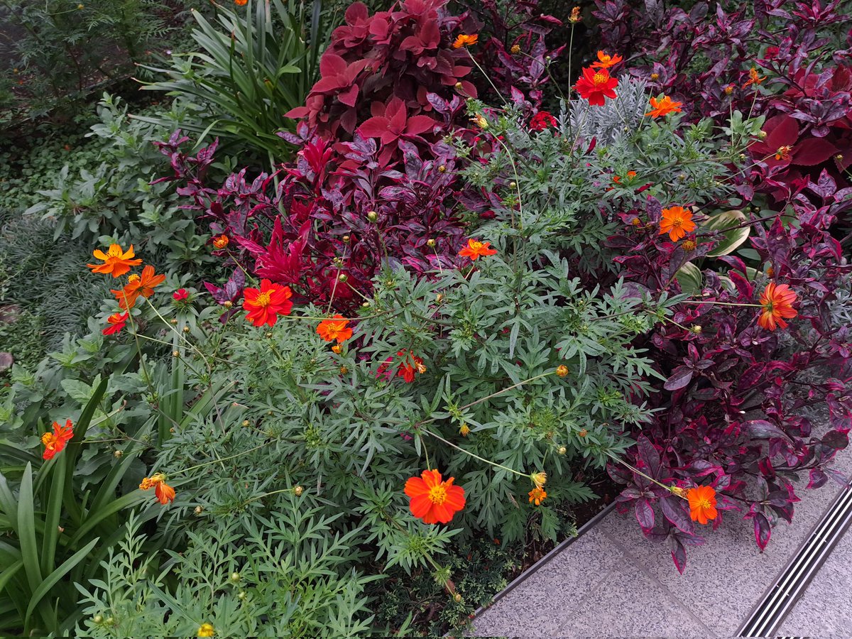 俗窓 (@zokumadot) on Twitter photo 