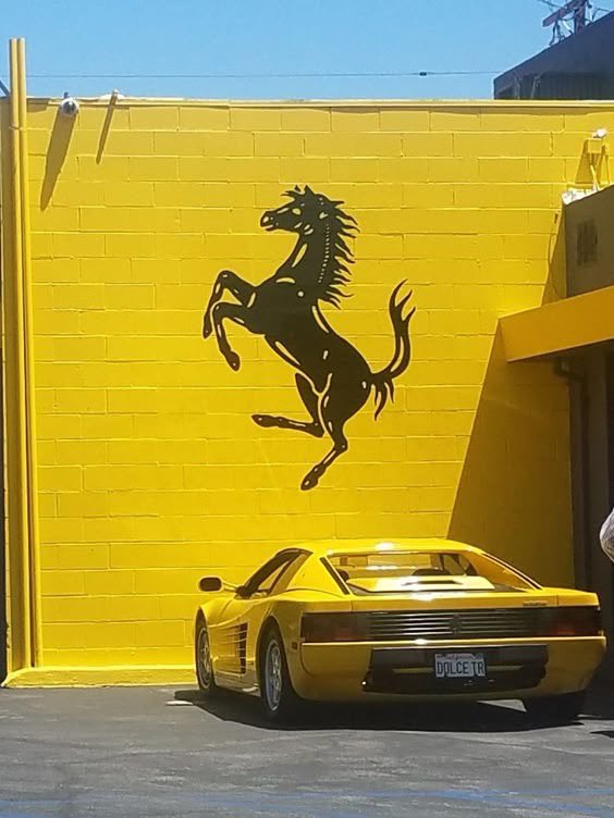 🇬🇧 Fast & Ferocious (@fafbulldog) on Twitter photo 