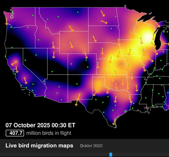 CountyAgAgent's tweet image. Check out the time stamp. Look at the difference 24 hours can make. Just another reminder not to let your guard down. Within a few hours the bird traffic over ND changes drastically. Protect your flocks.
