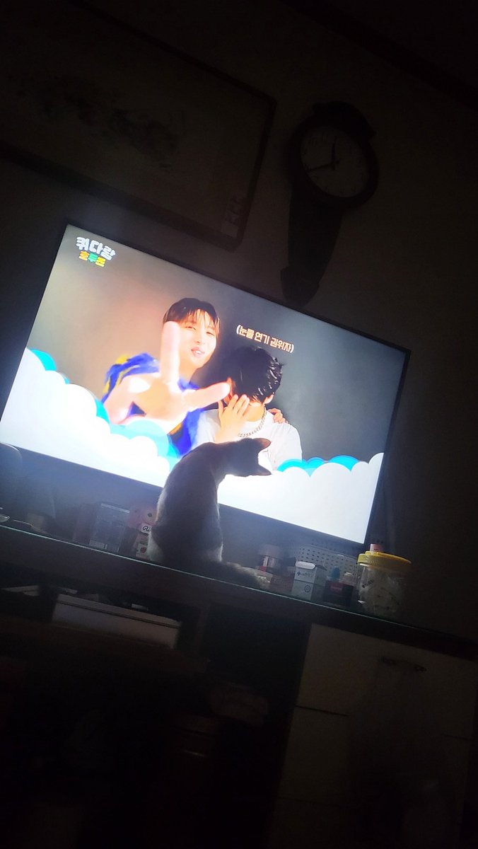 쳇..   우리집고양 이도 유니버스???