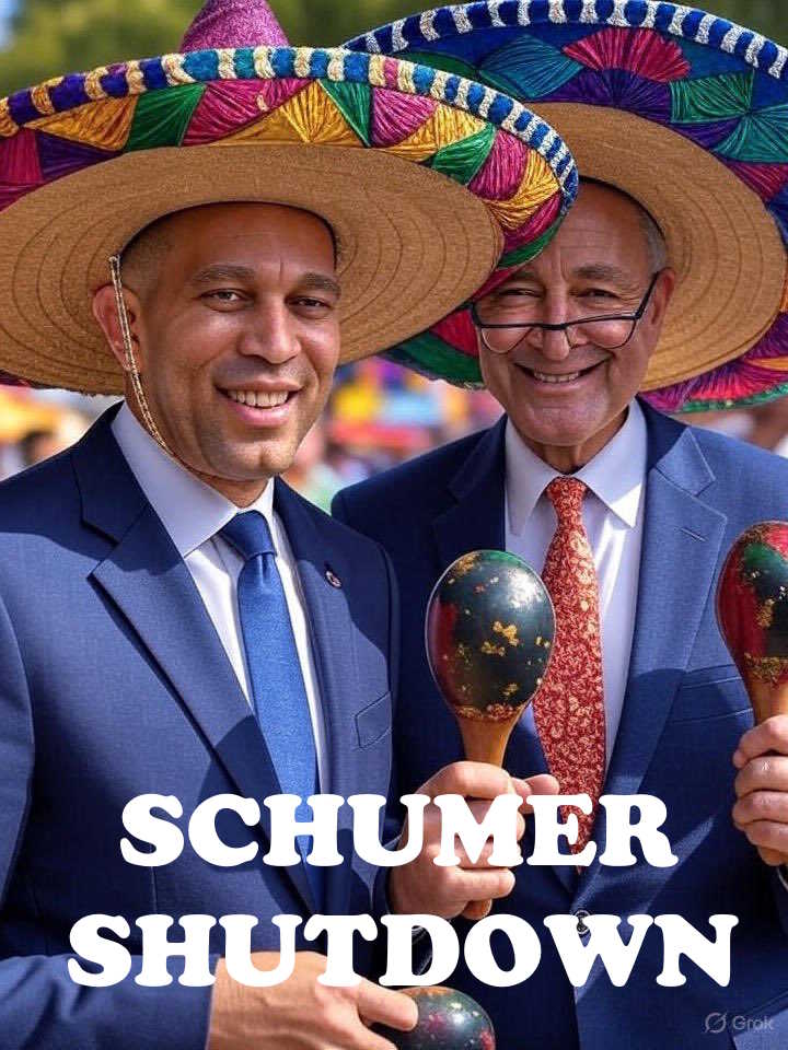 RedState66's tweet image. The ball is in your court.  Democrats own the #SchumerShutdown2025.