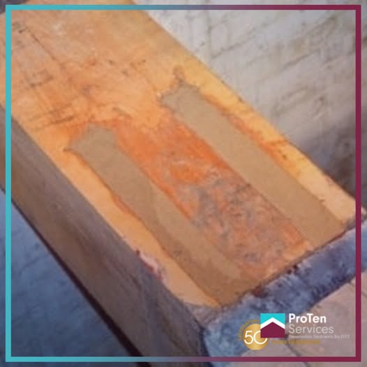 ProTenServices's tweet image. 🪵 Timber Resin Repair - restoring decayed timber without full replacement. Perfect for heritage, listed buildings, and churches, preserving original timbers while protecting surrounding brickwork and plaster.

📞0800 012 6094

#ProTenServices #TimberRepair #HeritagePreservation