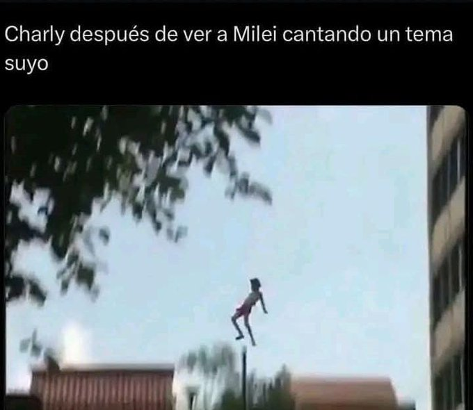 #LaBandaDeMilei 🤣🤣🤣🤣

POV: no hay pileta.