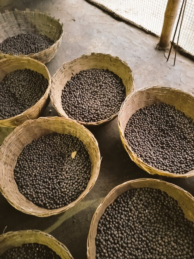 AgrotechHaat's tweet photo. We process fresh makhana 
Please connect with us for more details https://t.co/c0Z72aRtst