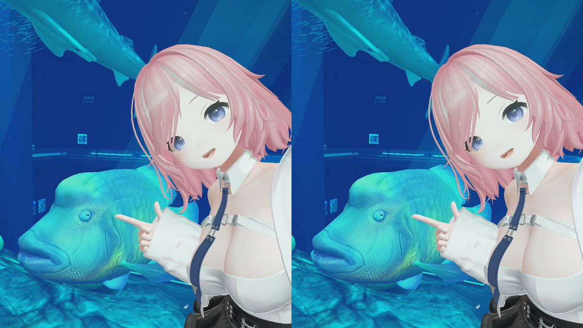 AirisVR's tweet image. おっはよー！☀️
今週の真ん中水曜日ですねー

昨日は色々ライブ依頼の連絡に答えたり、スケジュールの再設定など忙しい一日でした！

明日はモデルの仕事なので、今日はいつも通り体系管理のため一日食事なしですよー🤤🐿️

＜マジックアイ　　　　　　　　　　　　VR機材＞

#アイリス立体写真