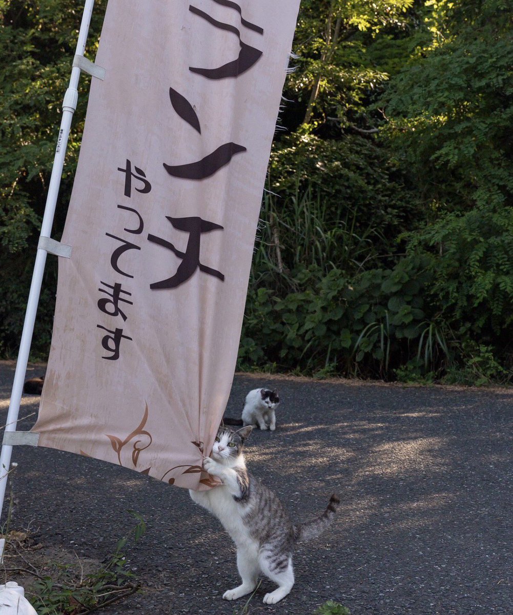 1OJ786's tweet photo. こんなことされたら... https://t.co/Gt0McKdAG6