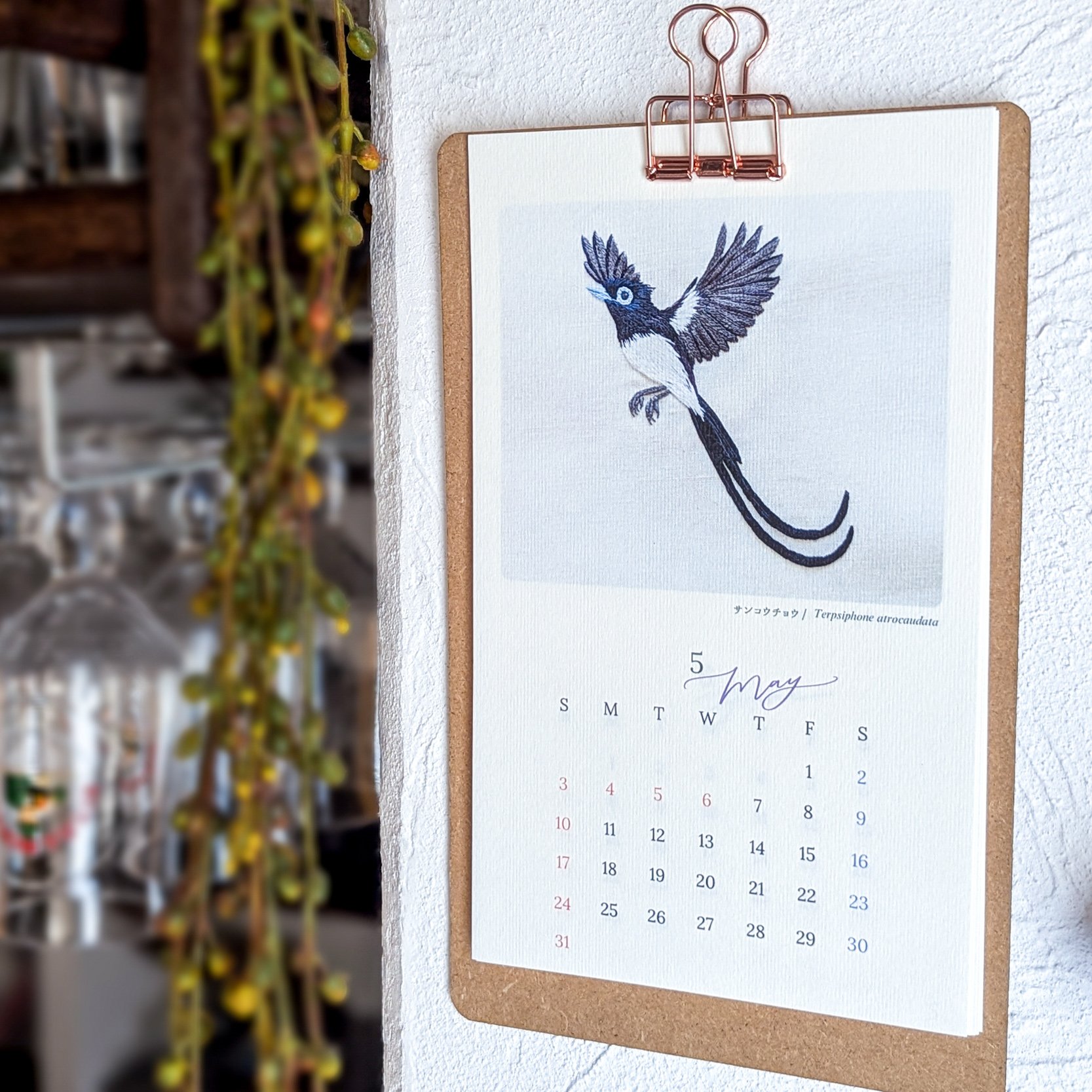 cancan様 ♦️クリアランスセールのお知らせ♦️アンクルストラップ