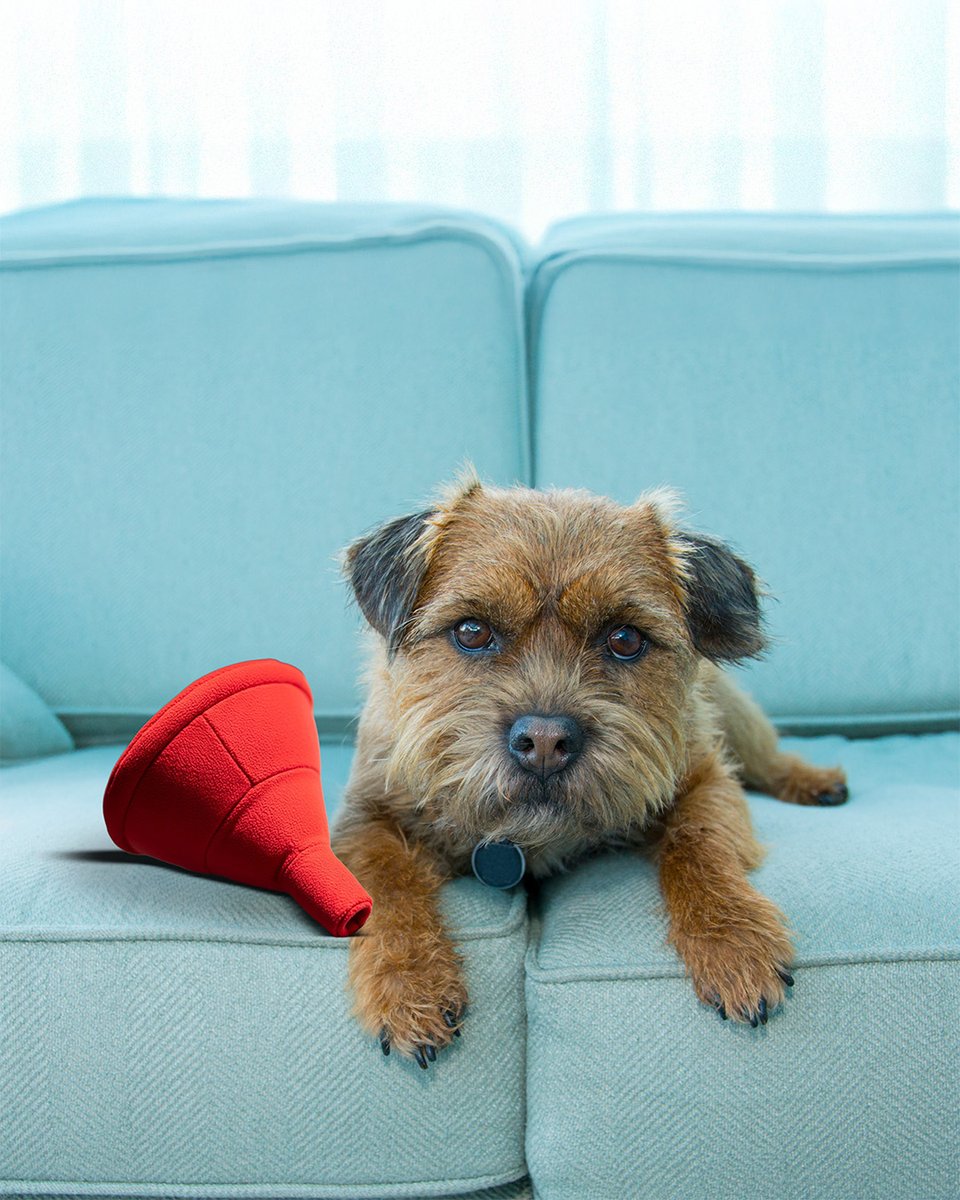 We approve. Grouchy dog ✅ funnel ✅