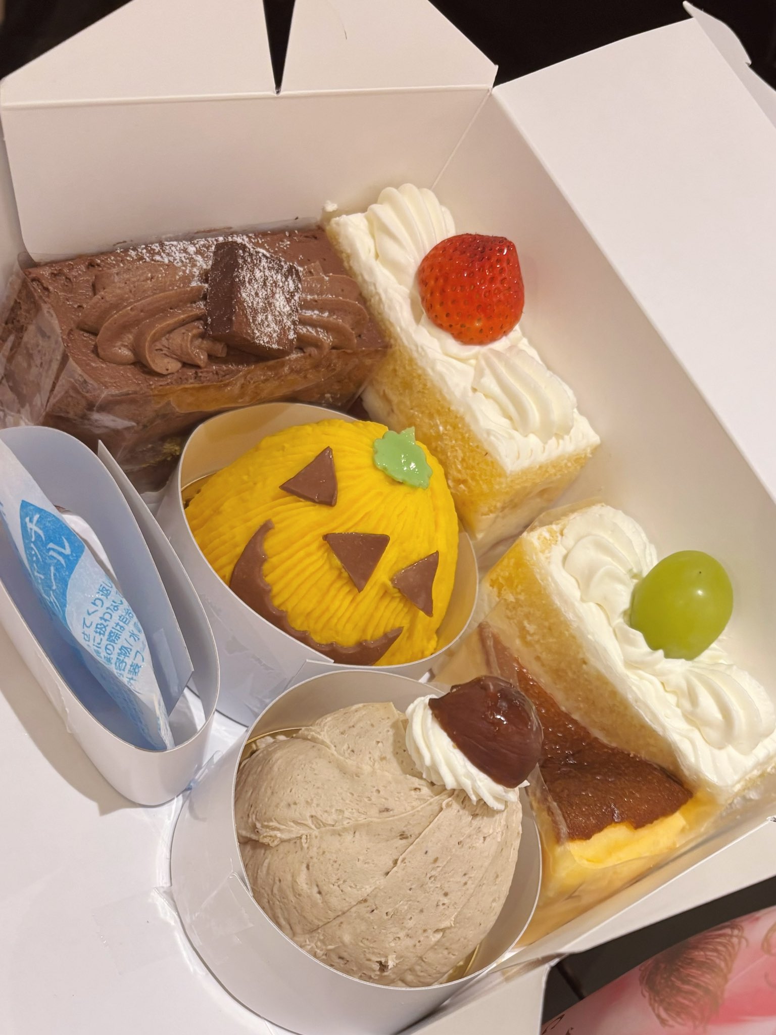 yokunero様♡ありがとうございます♡ 生まれました‎₊˚⊹ 𐦍༘⋆₊ ⊹ 📸 @kei_osa10