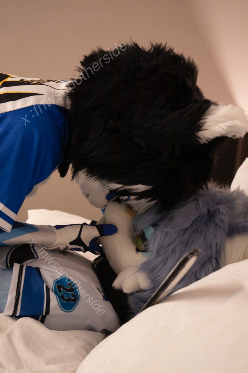 风咛🐾🐾🐾 tweet media