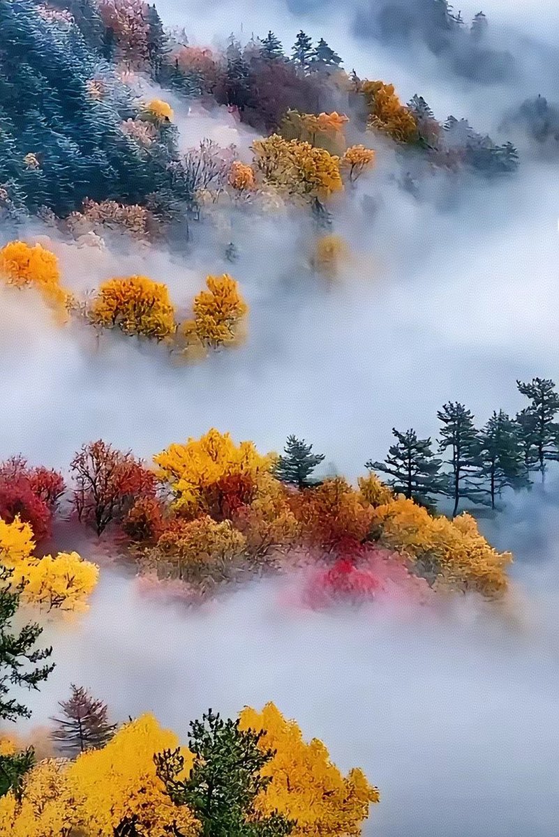 Elena (@elena192827) on Twitter photo 